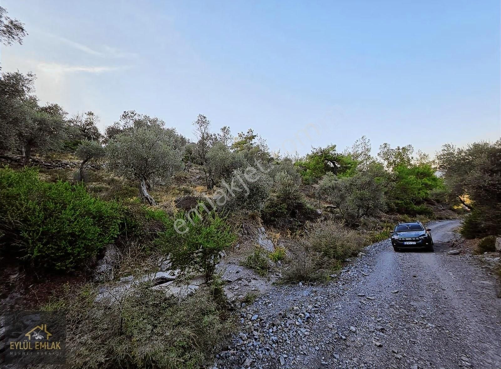 Milas Balcılarda Satılık Fırsat Yol Cepheli Tarla Müstakil Tapu - Görsel 34