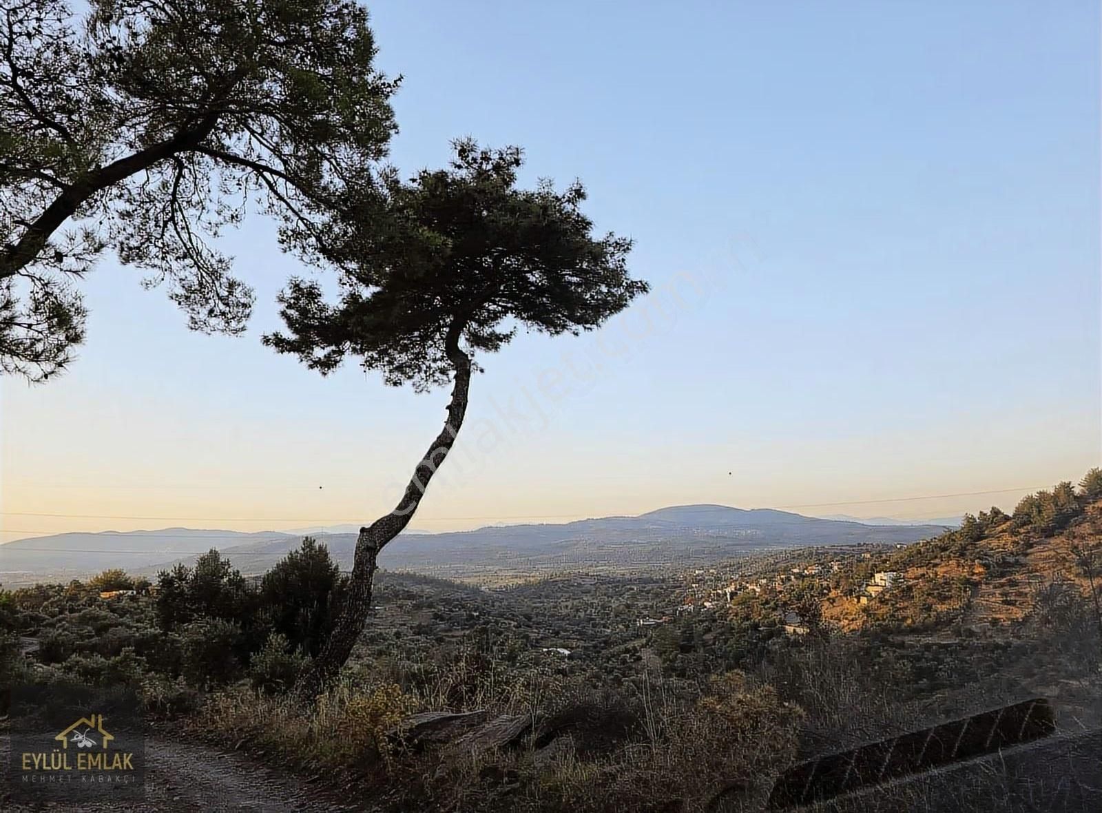 Milas Balcılarda Satılık Fırsat Yol Cepheli Tarla Müstakil Tapu - Görsel 28