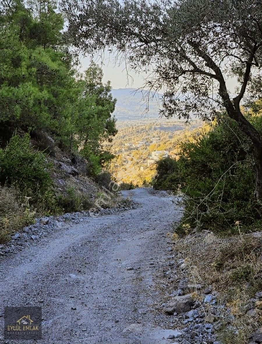 Milas Balcılarda Satılık Fırsat Yol Cepheli Tarla Müstakil Tapu - Görsel 6
