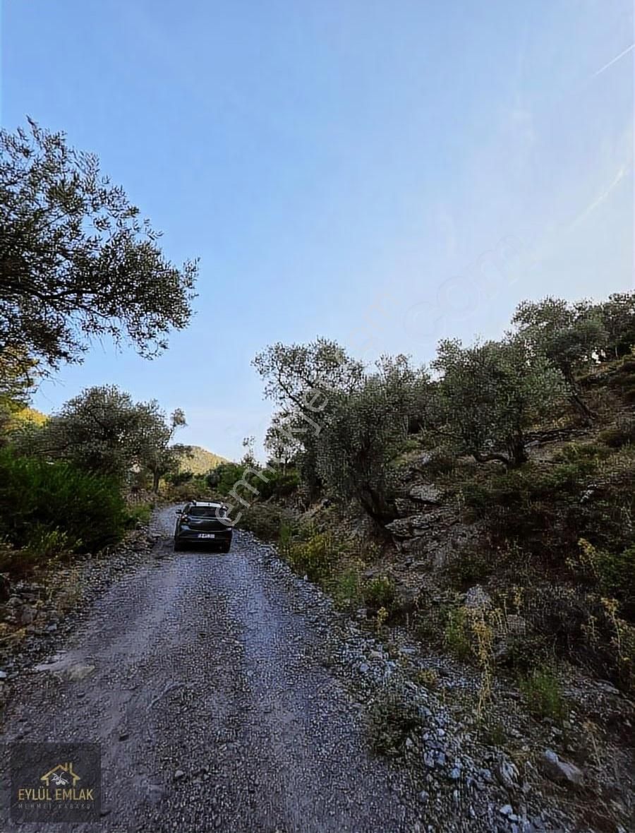 Milas Balcılarda Satılık Fırsat Yol Cepheli Tarla Müstakil Tapu - Görsel 27