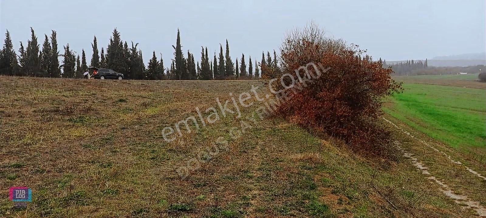 Dialog Doğuş Yenişehir Dereköy De Yola Cephe Yatırımlık Arazi - Görsel 5