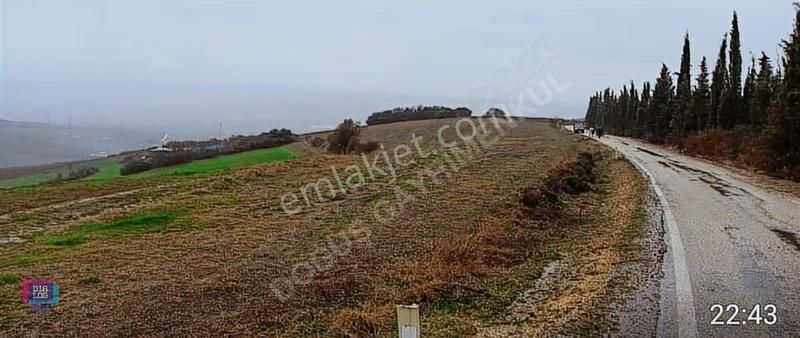 Dialog Doğuş Yenişehir Dereköy De Yola Cephe Yatırımlık Arazi - Görsel 16