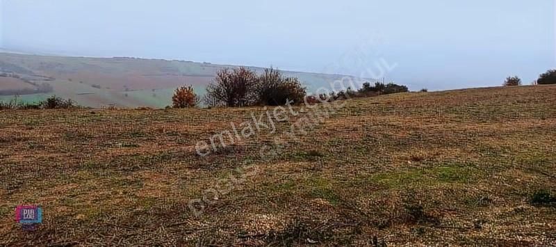 Dialog Doğuş Yenişehir Dereköy De Yola Cephe Yatırımlık Arazi - Görsel 18