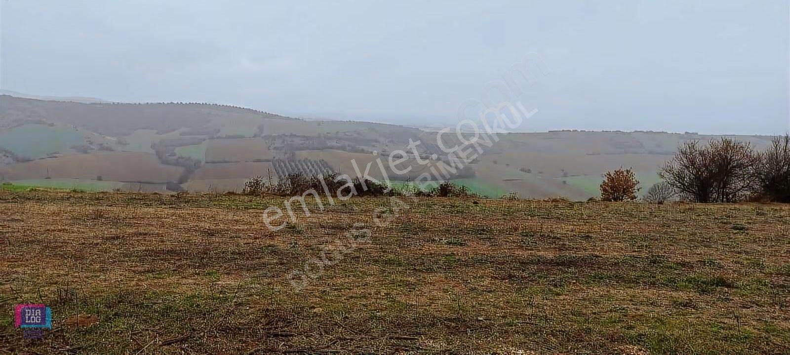 Dialog Doğuş Yenişehir Dereköy De Yola Cephe Yatırımlık Arazi - Görsel 4