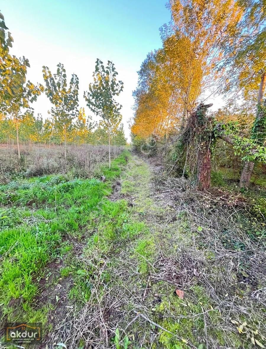 Akdur Dan Cınarlık Ta 9,596 M2 Tarla - Görsel 20