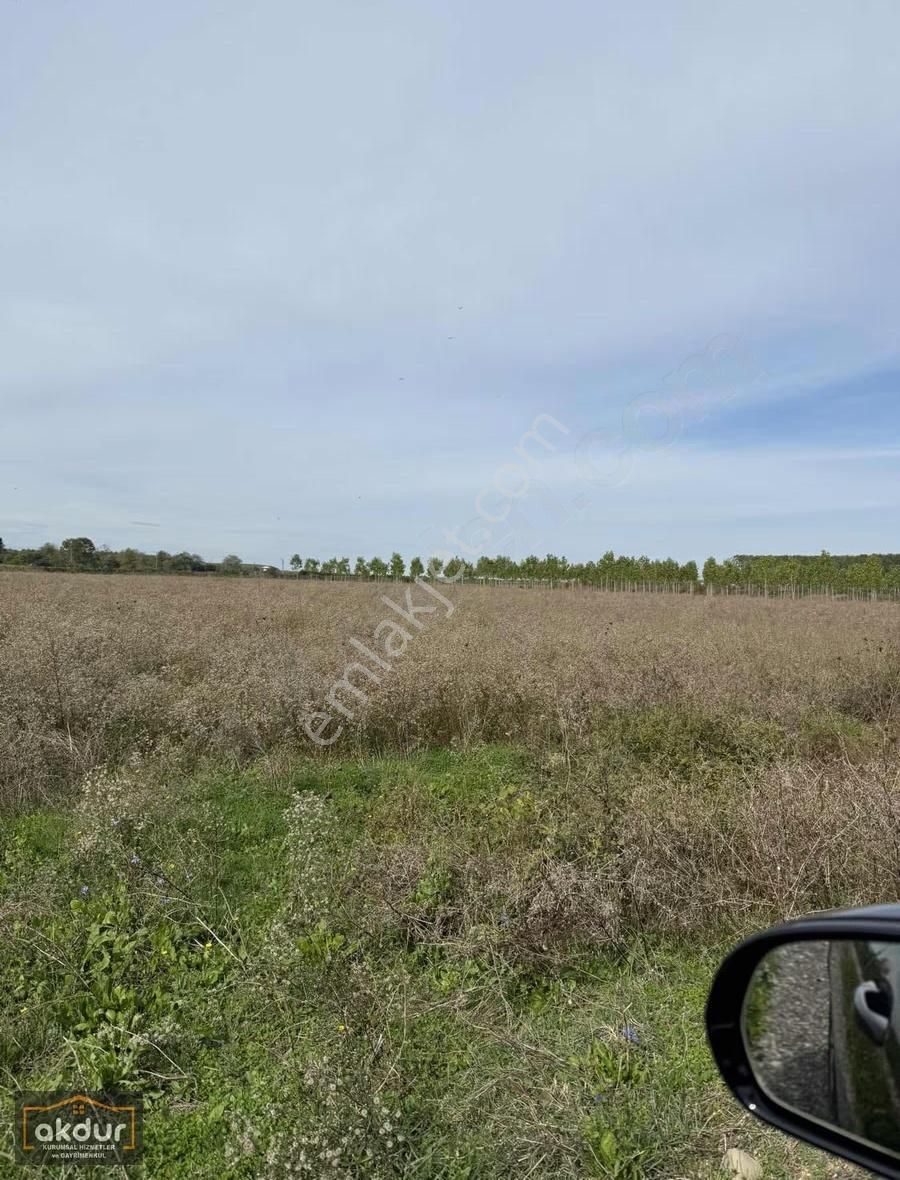 Akdur Dan Cınarlık Ta 9,596 M2 Tarla - Görsel 22