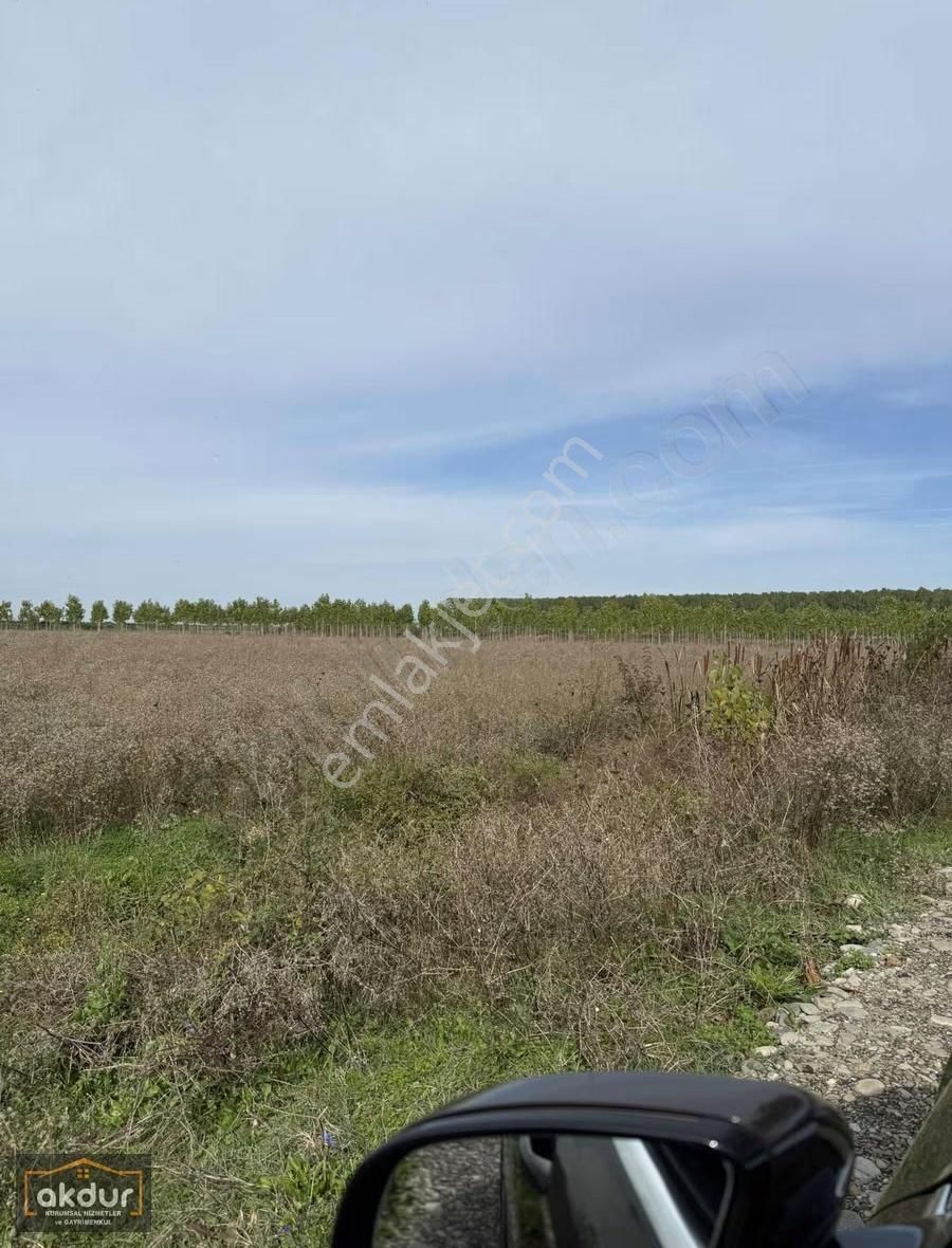 Akdur Dan Cınarlık Ta 9,596 M2 Tarla - Görsel 14