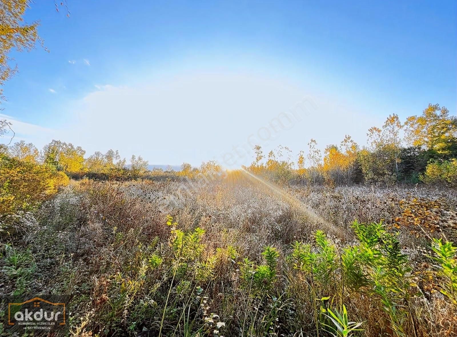 Akdur Dan Cınarlık Ta 9,596 M2 Tarla - Görsel 28