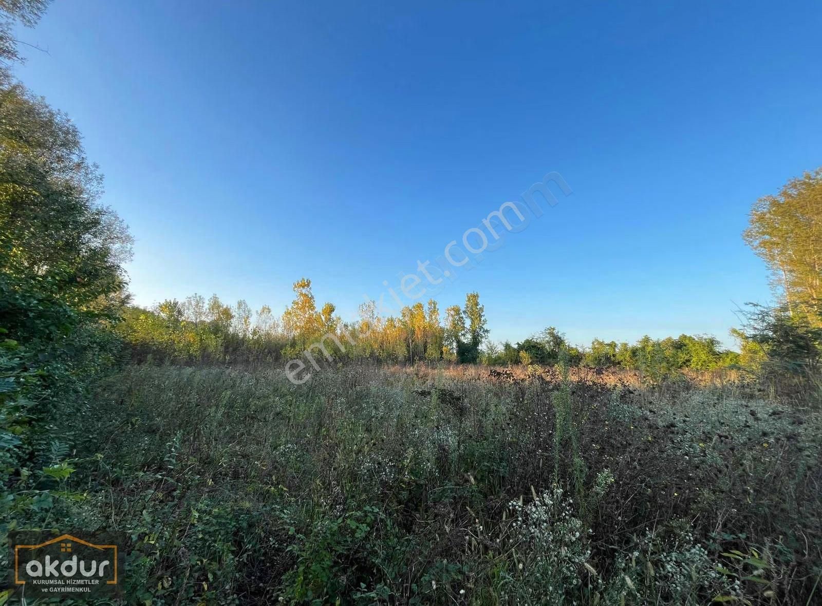 Akdur Dan Cınarlık Ta 9,596 M2 Tarla - Görsel 6