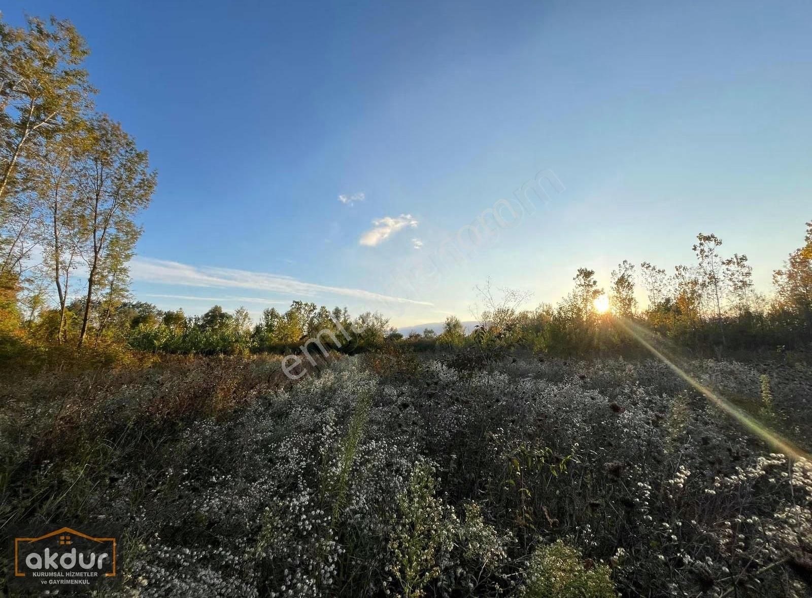 Akdur Dan Cınarlık Ta 9,596 M2 Tarla - Görsel 5