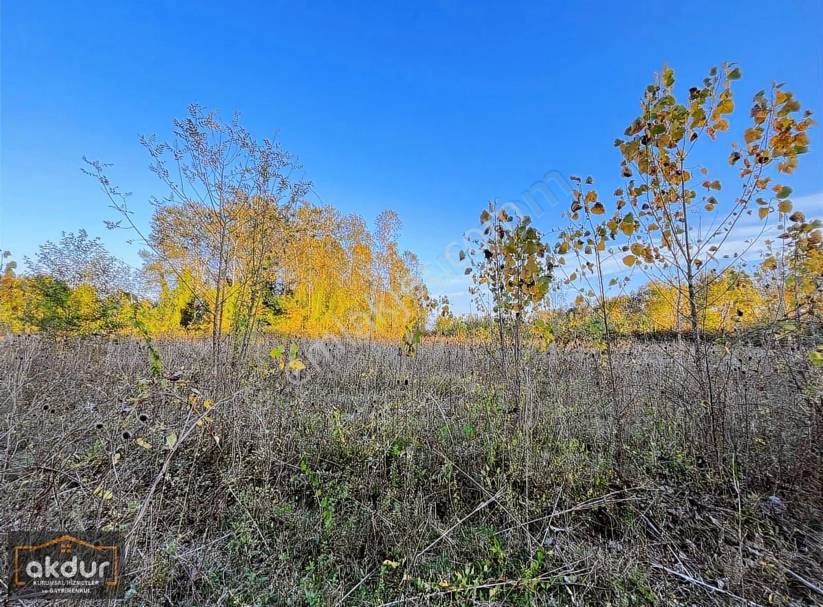 Akdur Dan Cınarlık Ta 9,596 M2 Tarla - Görsel 25