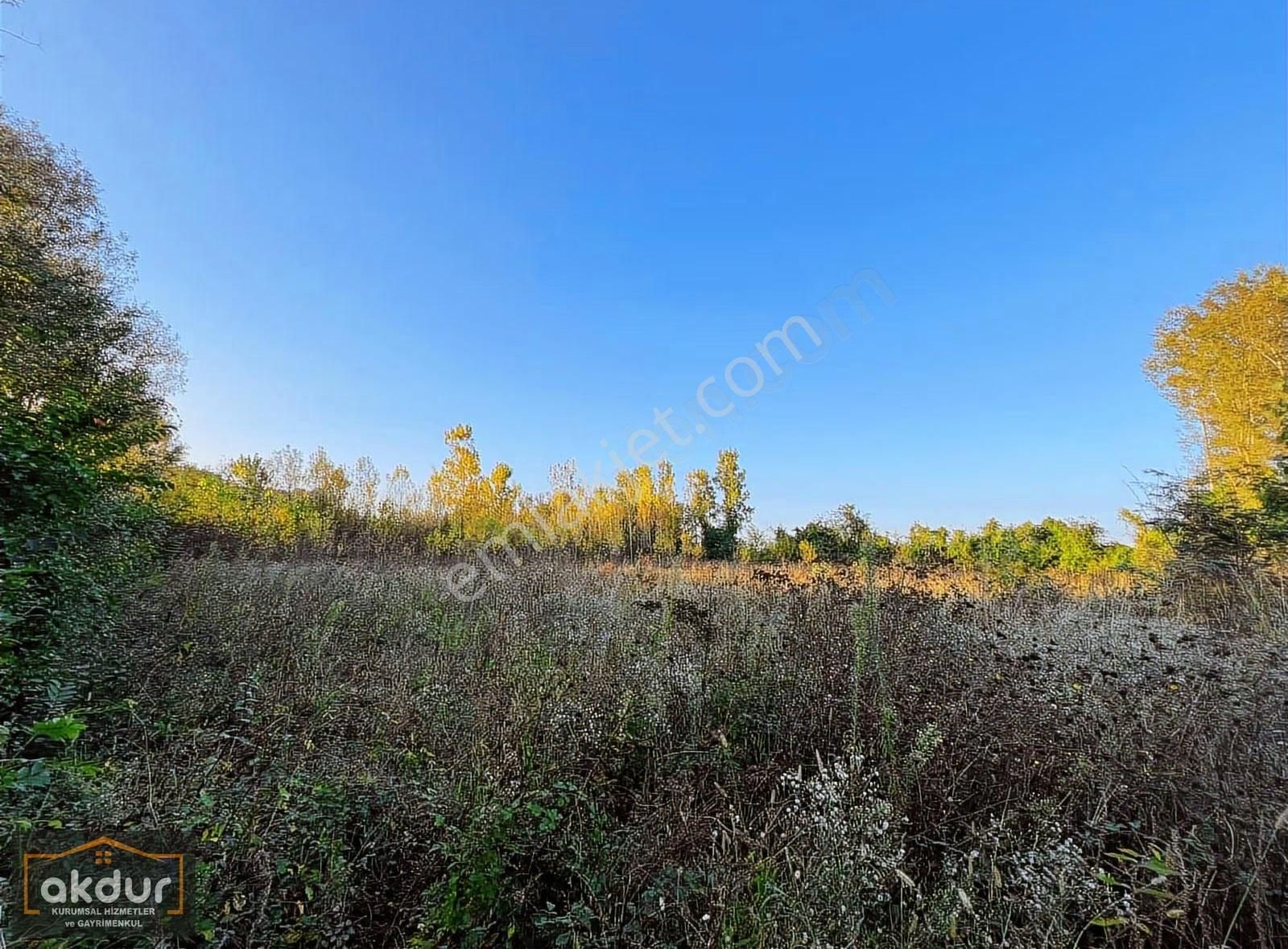 Akdur Dan Cınarlık Ta 9,596 M2 Tarla - Görsel 4