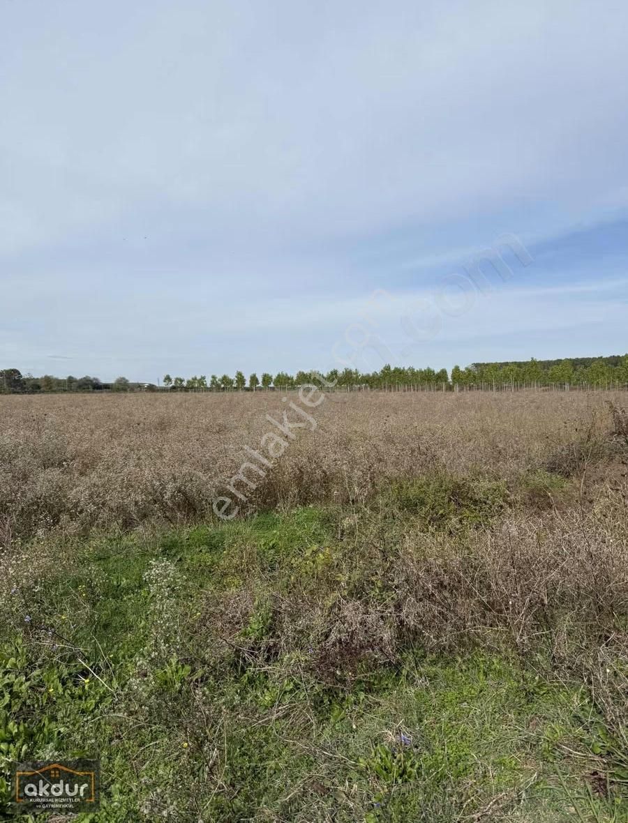 Akdur Dan Cınarlık Ta 9,596 M2 Tarla - Görsel 29