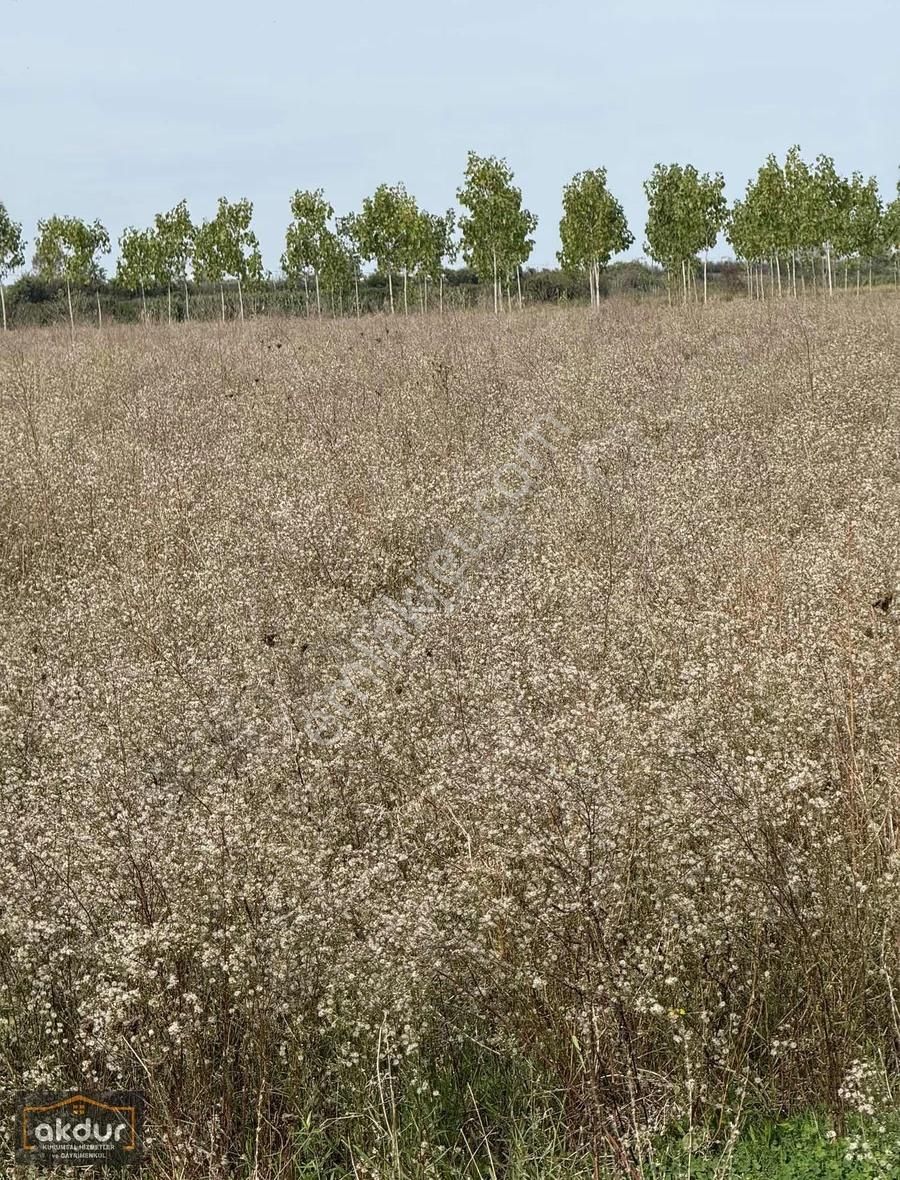Akdur Dan Cınarlık Ta 9,596 M2 Tarla - Görsel 15