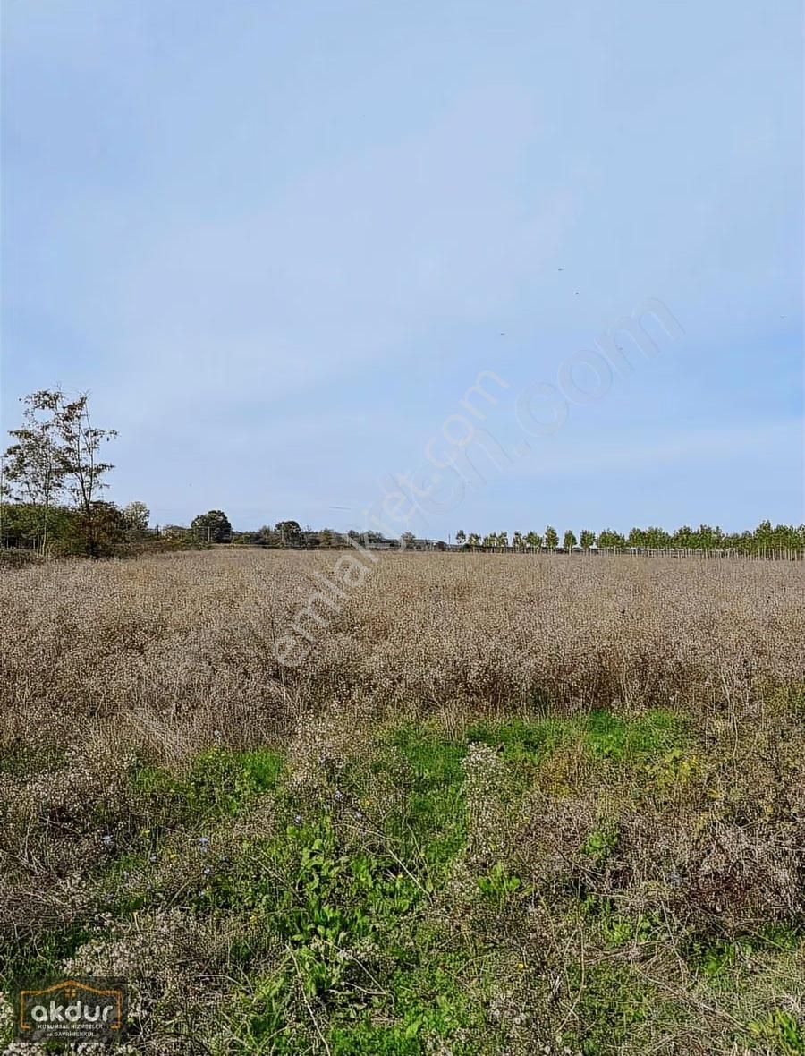 Akdur Dan Cınarlık Ta 9,596 M2 Tarla - Görsel 17