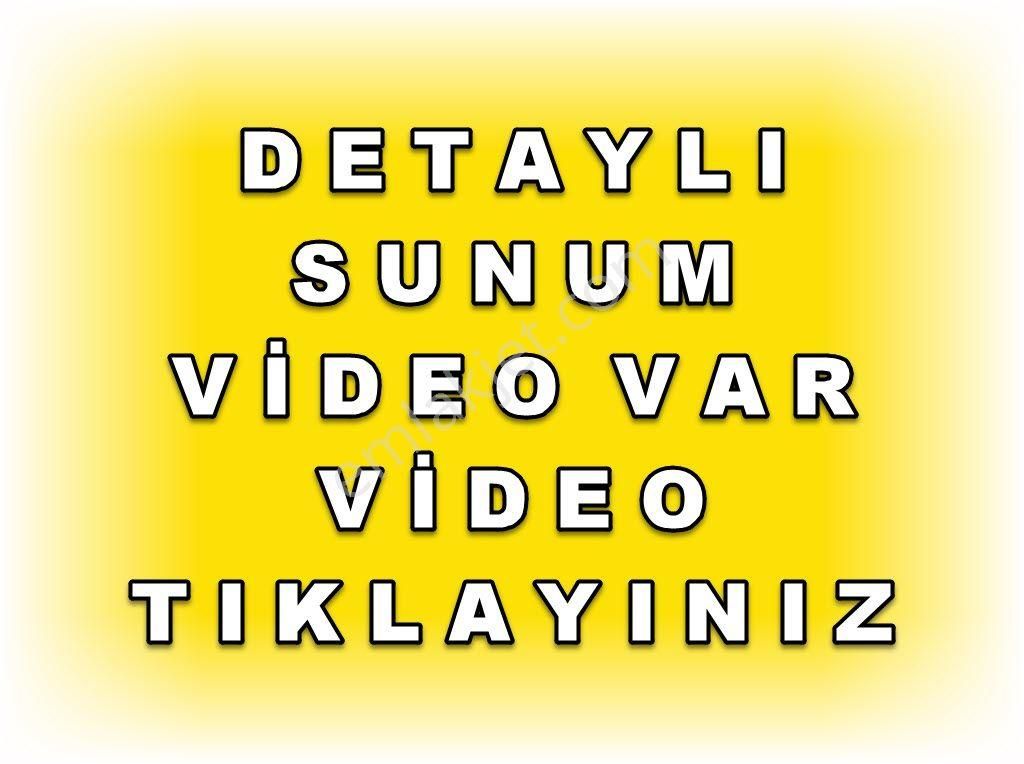 Bursa Yenişehir Kavaklıda Satılık Verimli 21,250m2 Zeytin Bahçesi - Görsel 2
