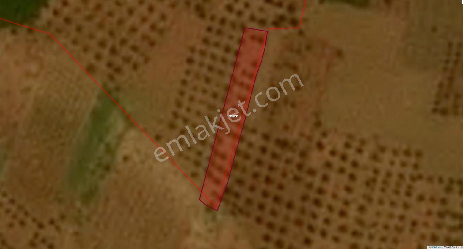 Millioğlu İnşaat'tan Oğuzeli Gürsu'da Satılık Tarla - Görsel 2