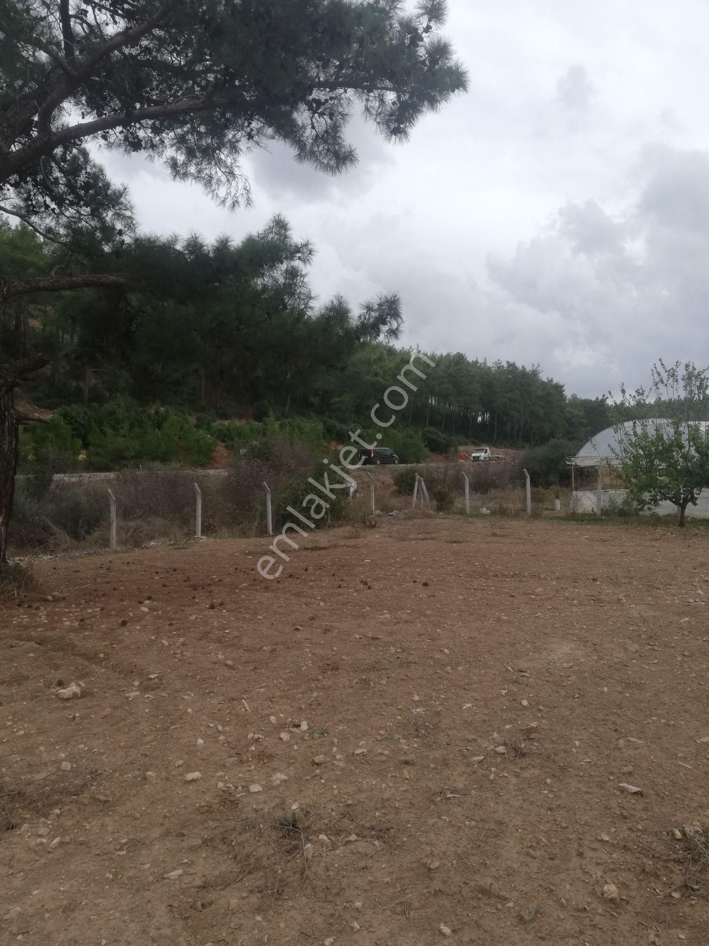 Menderes Deyırmendere De Bakımlı Bahce - Görsel 28