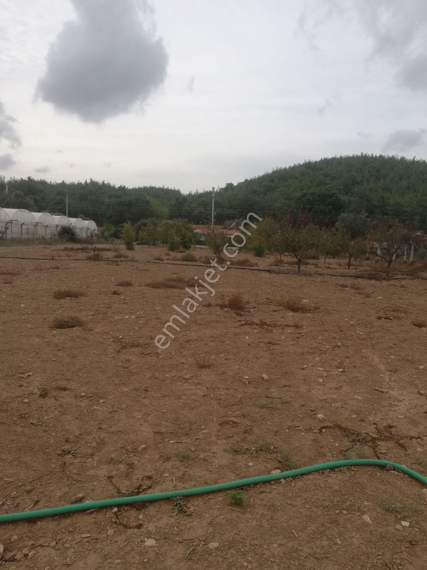 Menderes Deyırmendere De Bakımlı Bahce - Görsel 15