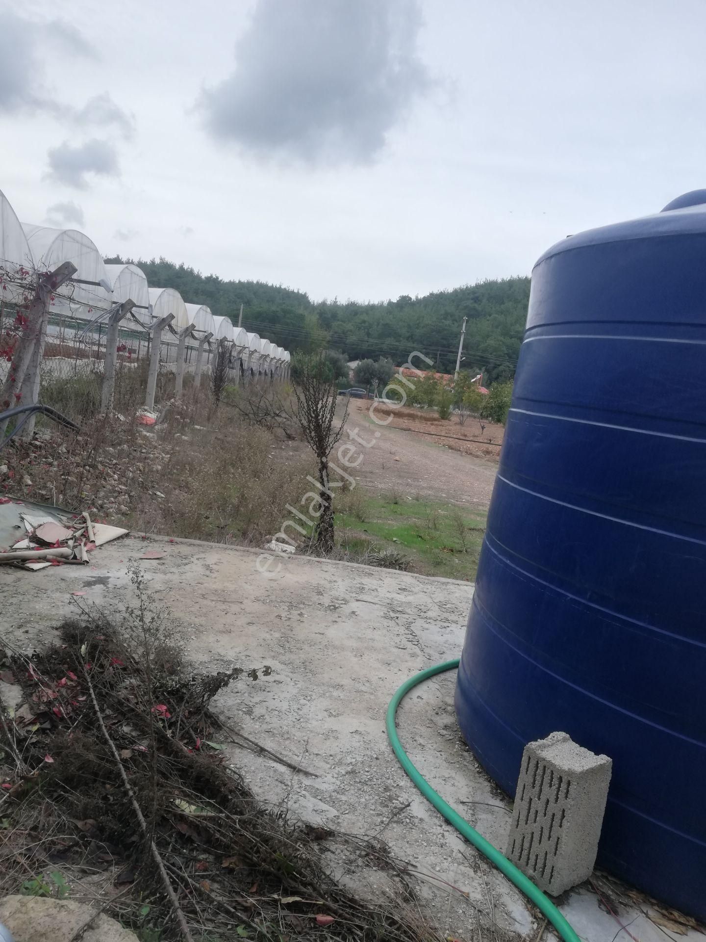 Menderes Deyırmendere De Bakımlı Bahce - Görsel 19