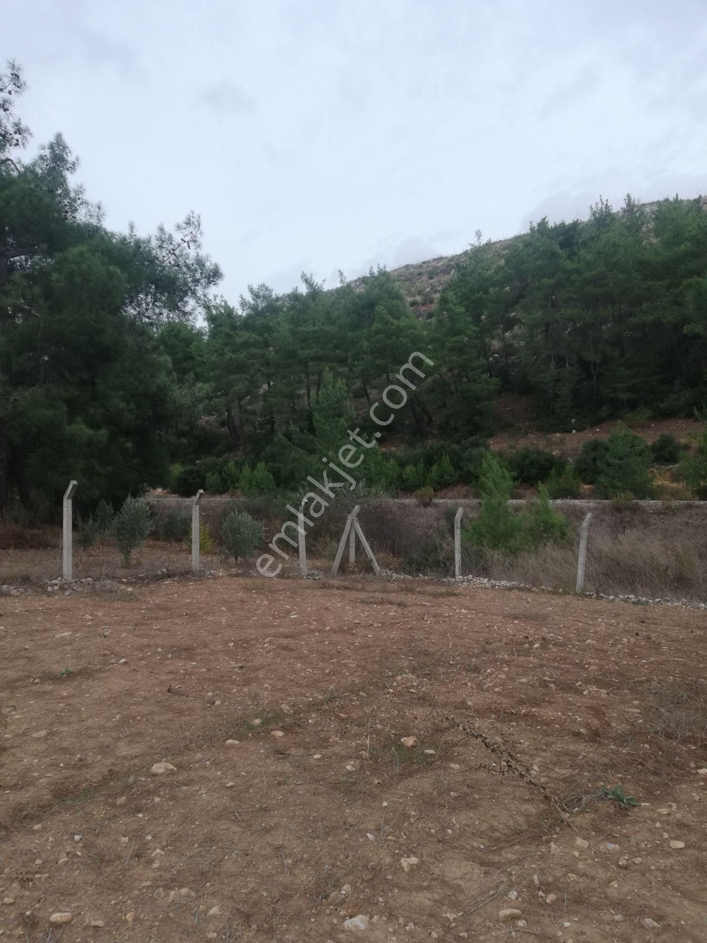 Menderes Deyırmendere De Bakımlı Bahce - Görsel 30