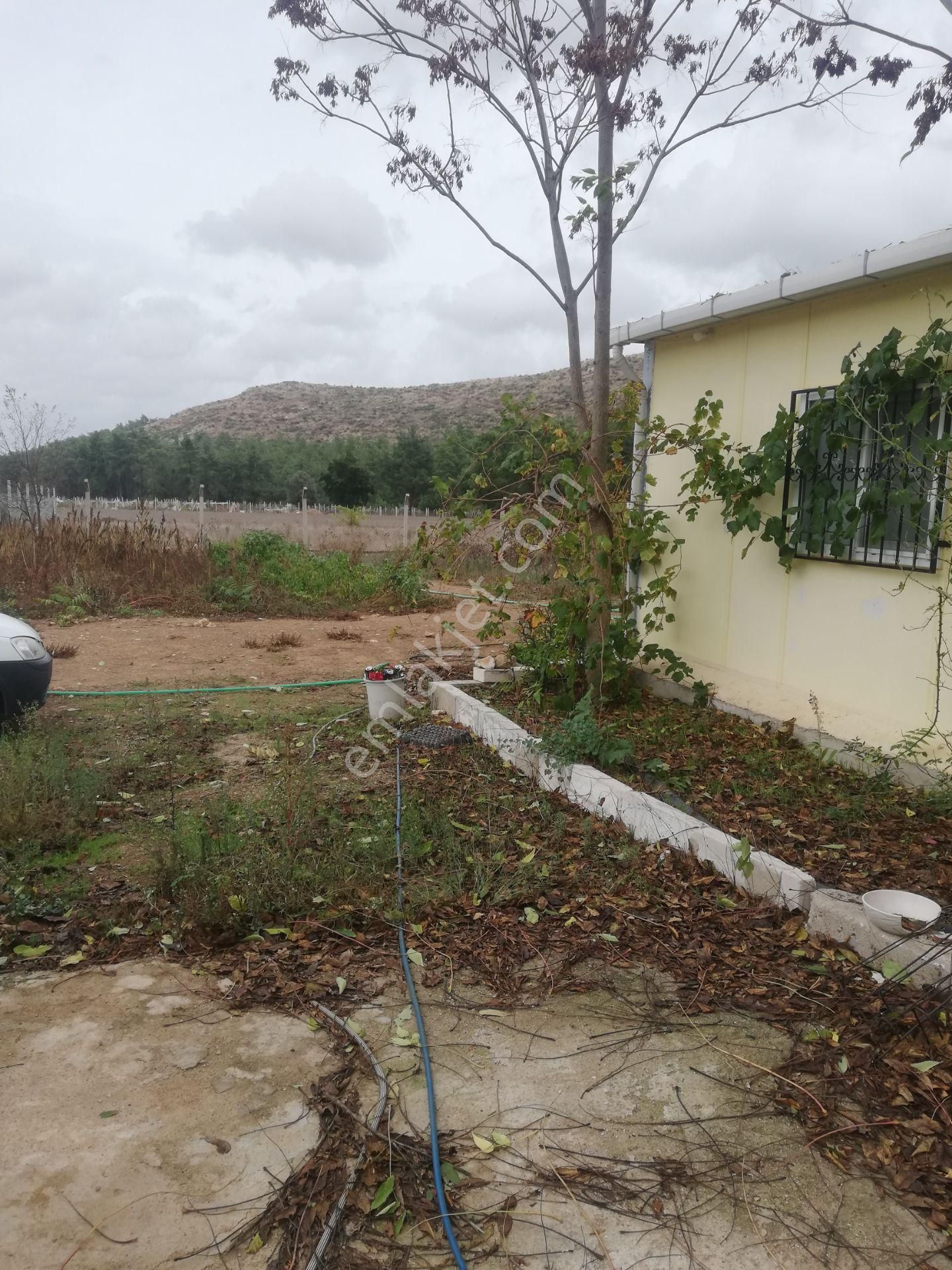 Menderes Deyırmendere De Bakımlı Bahce - Görsel 20