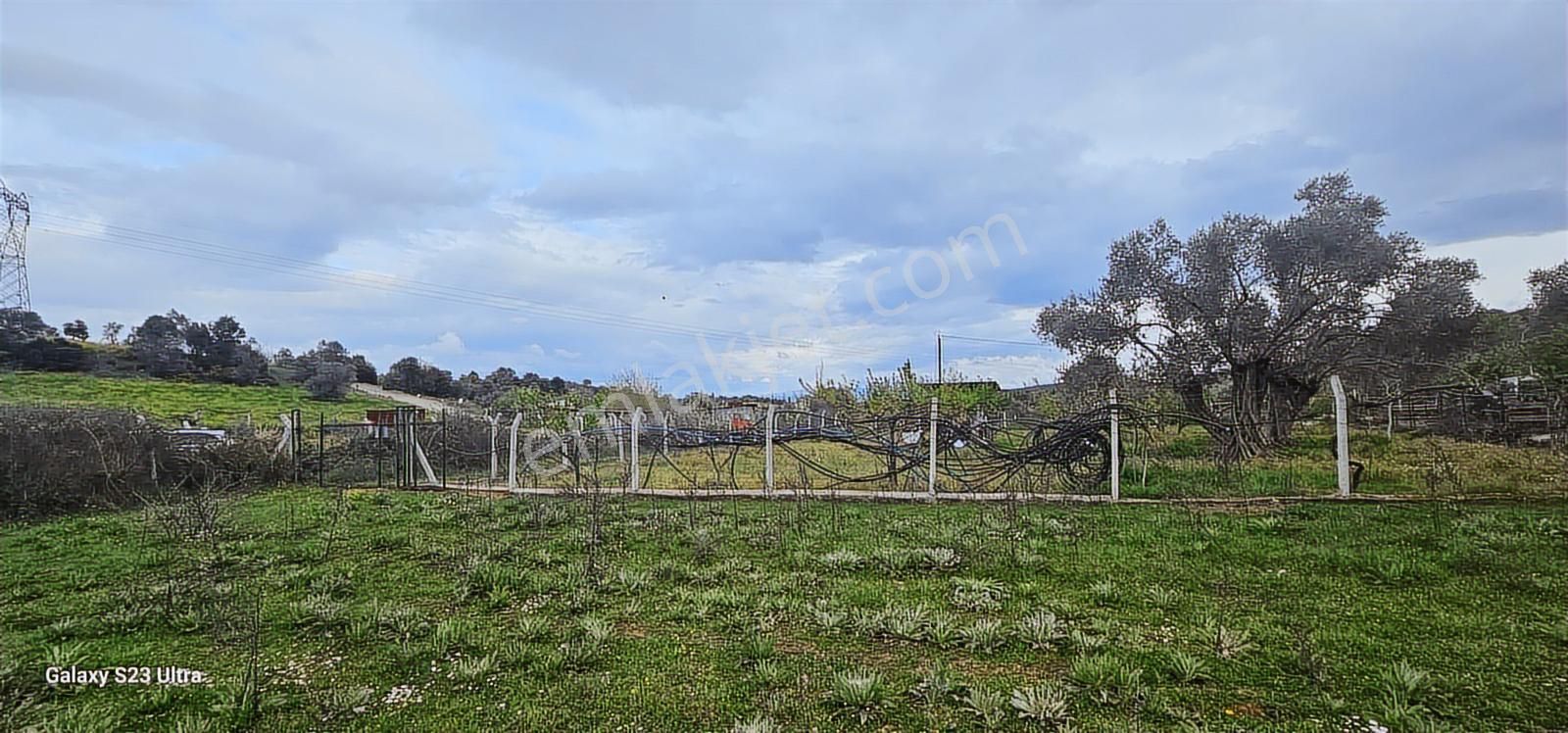 Akçaköy Merkezde Yatırımlık Zeytinlik - Görsel 31