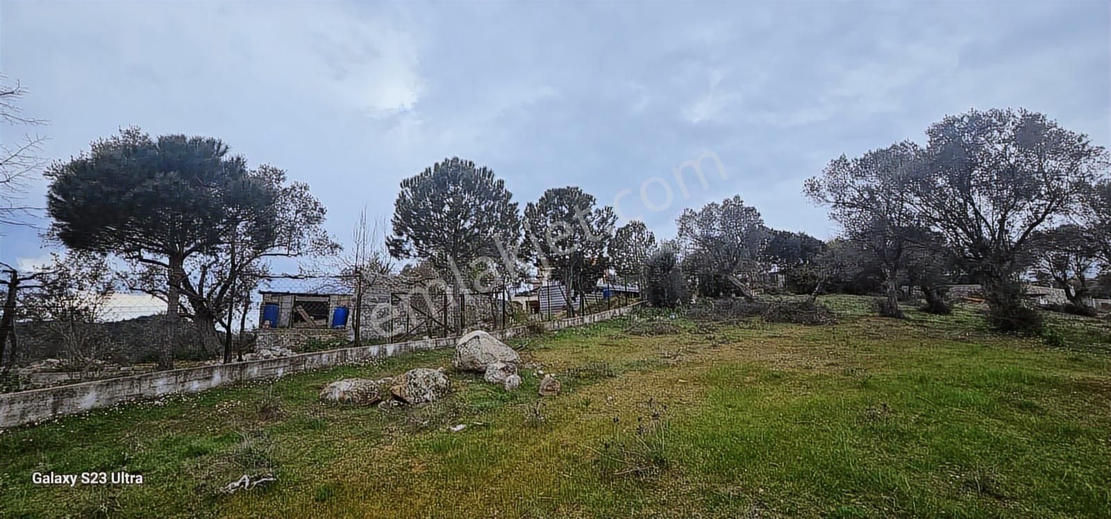 Akçaköy Merkezde Yatırımlık Zeytinlik - Görsel 26