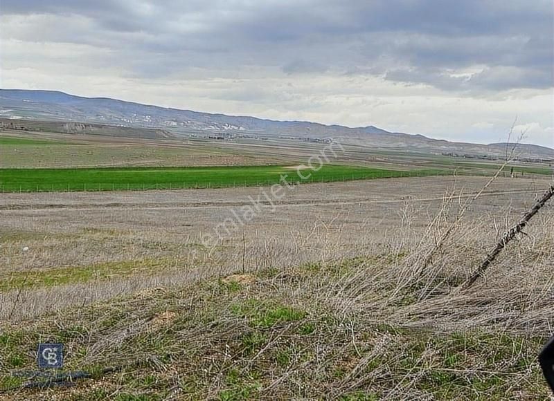 Polatlı Hacıtuğrulda Tek Tapulu Satılık Villa İmarlı Arsa - Görsel 6