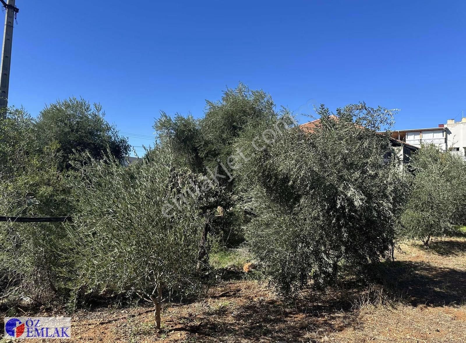 Kozan Fehmi Özel Türkay Caddesinde - Görsel 9