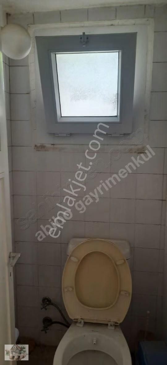 Abibodan Zeytinalanı Ana Yola Yakın Dükkan