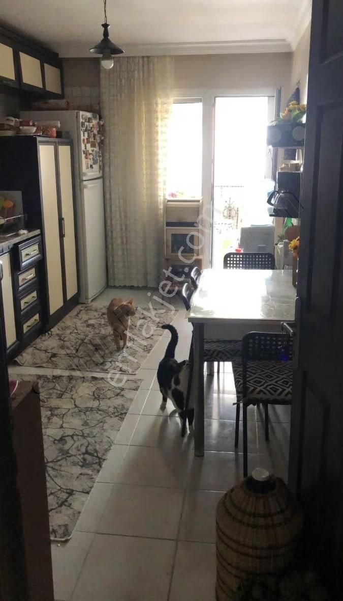 Evka 5 Emlak Dan Acar Kent Den Havuzlu Sitede Satılık Daire. - Görsel 4