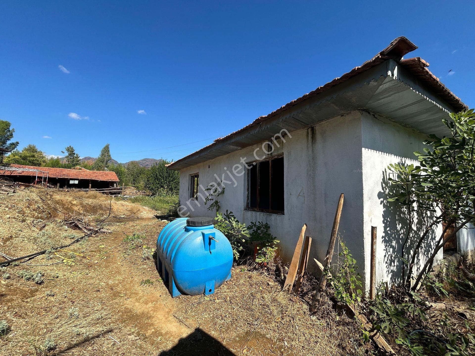Köyceğiz Pınarköyde 1675 M² Hisseli Satılık Tarla - Görsel 7