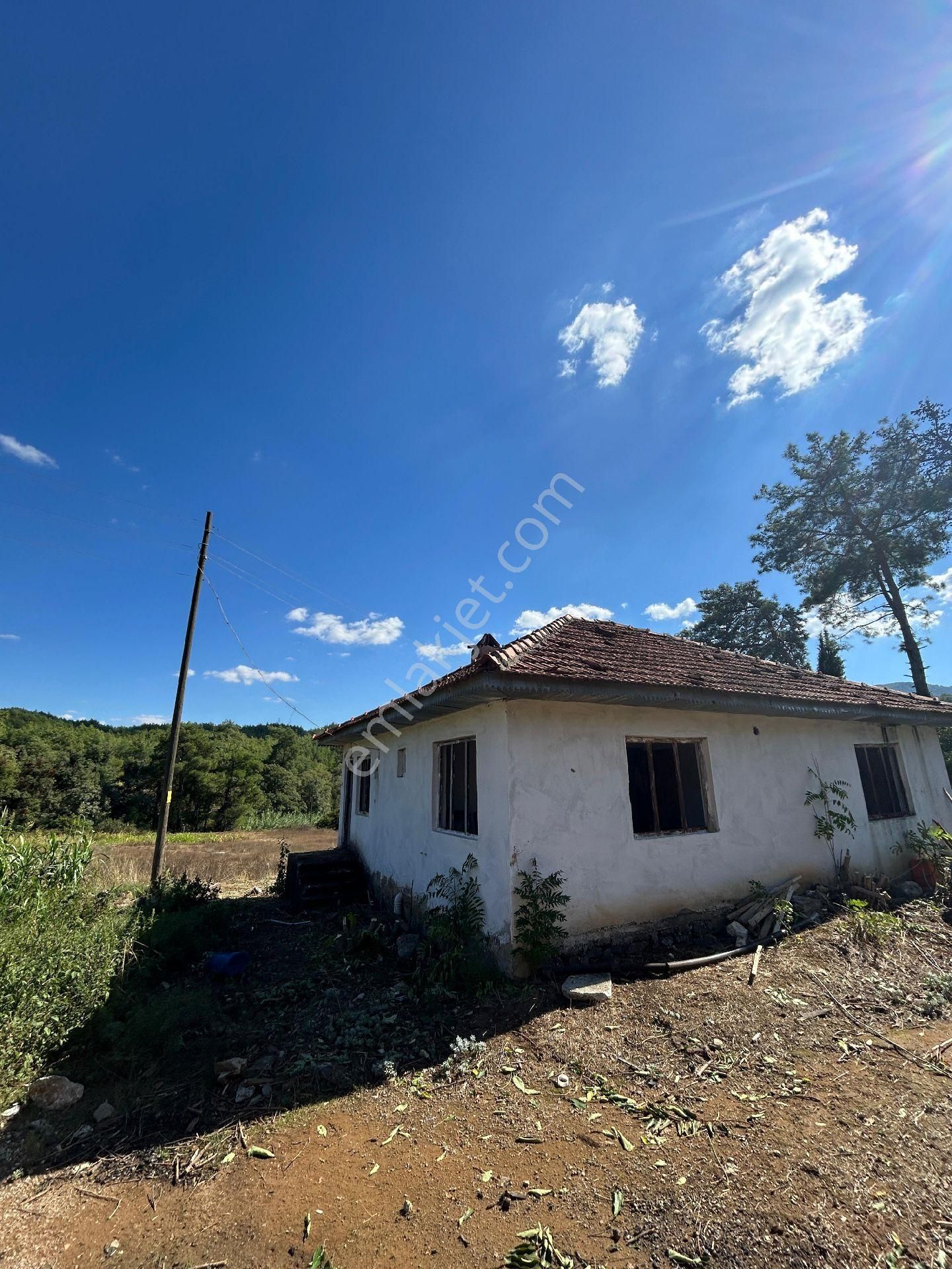 Köyceğiz Pınarköyde 1675 M² Hisseli Satılık Tarla - Görsel 2
