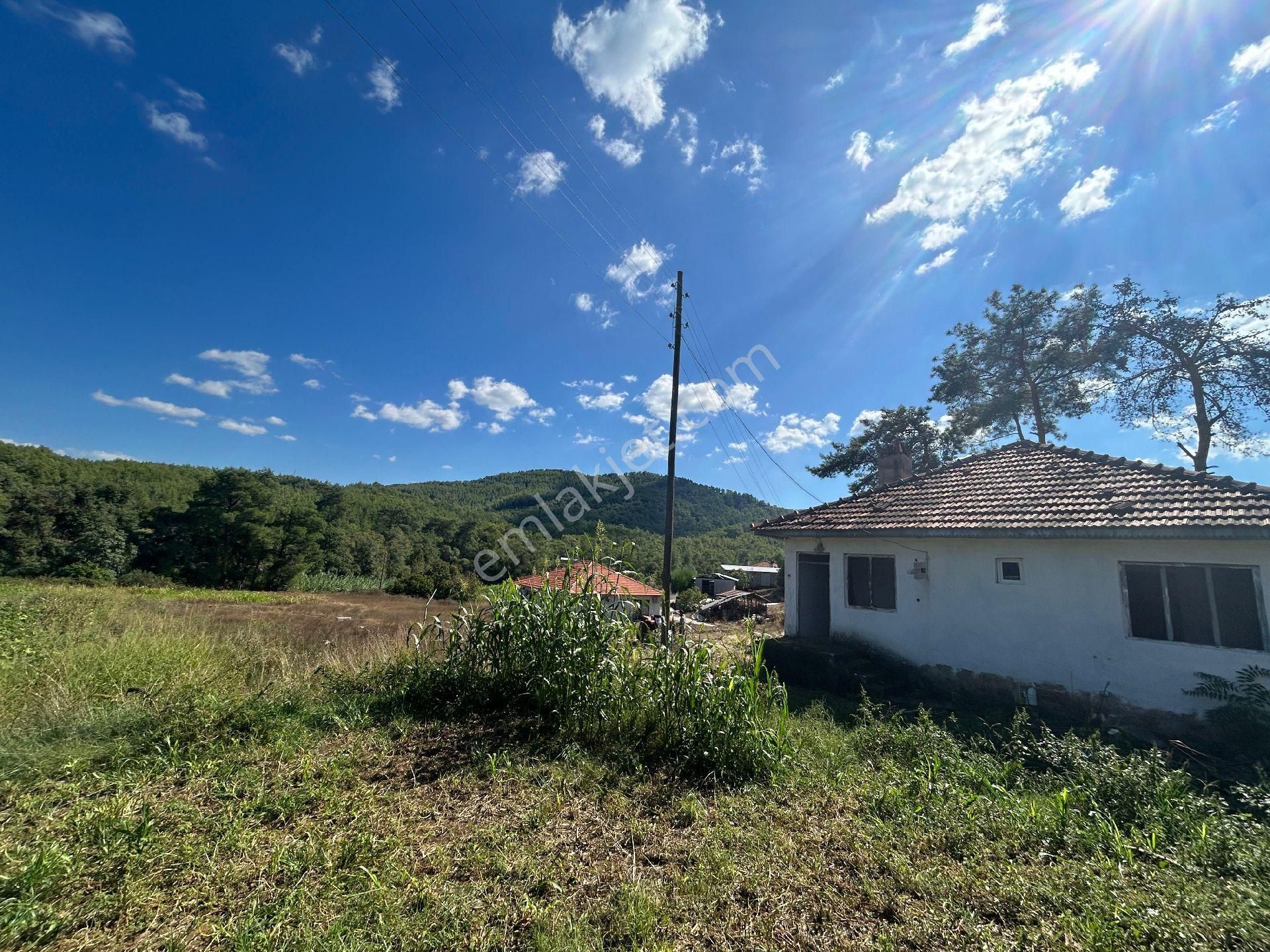 Köyceğiz Pınarköyde 1675 M² Hisseli Satılık Tarla - Görsel 10