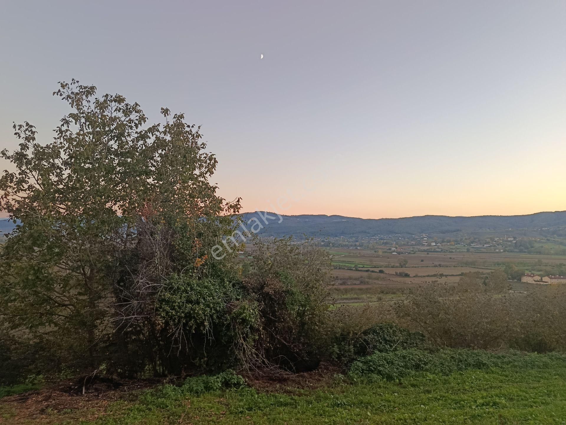 Beşevlerde Satılık Tarlamız - Görsel 12