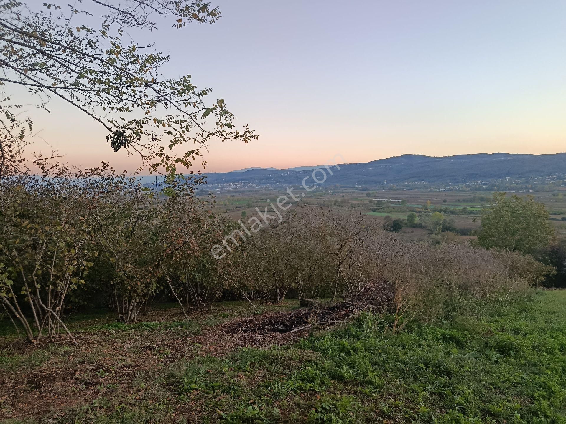 Beşevlerde Satılık Tarlamız - Görsel 2