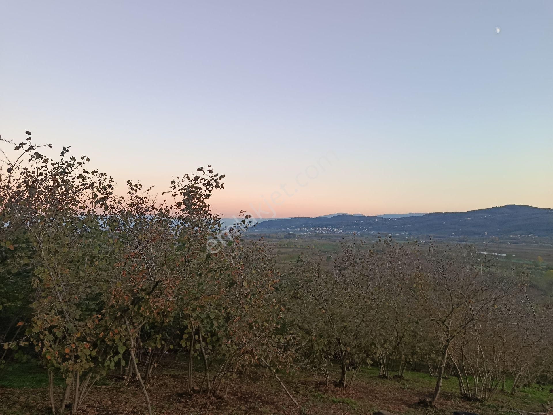 Beşevlerde Satılık Tarlamız - Görsel 8