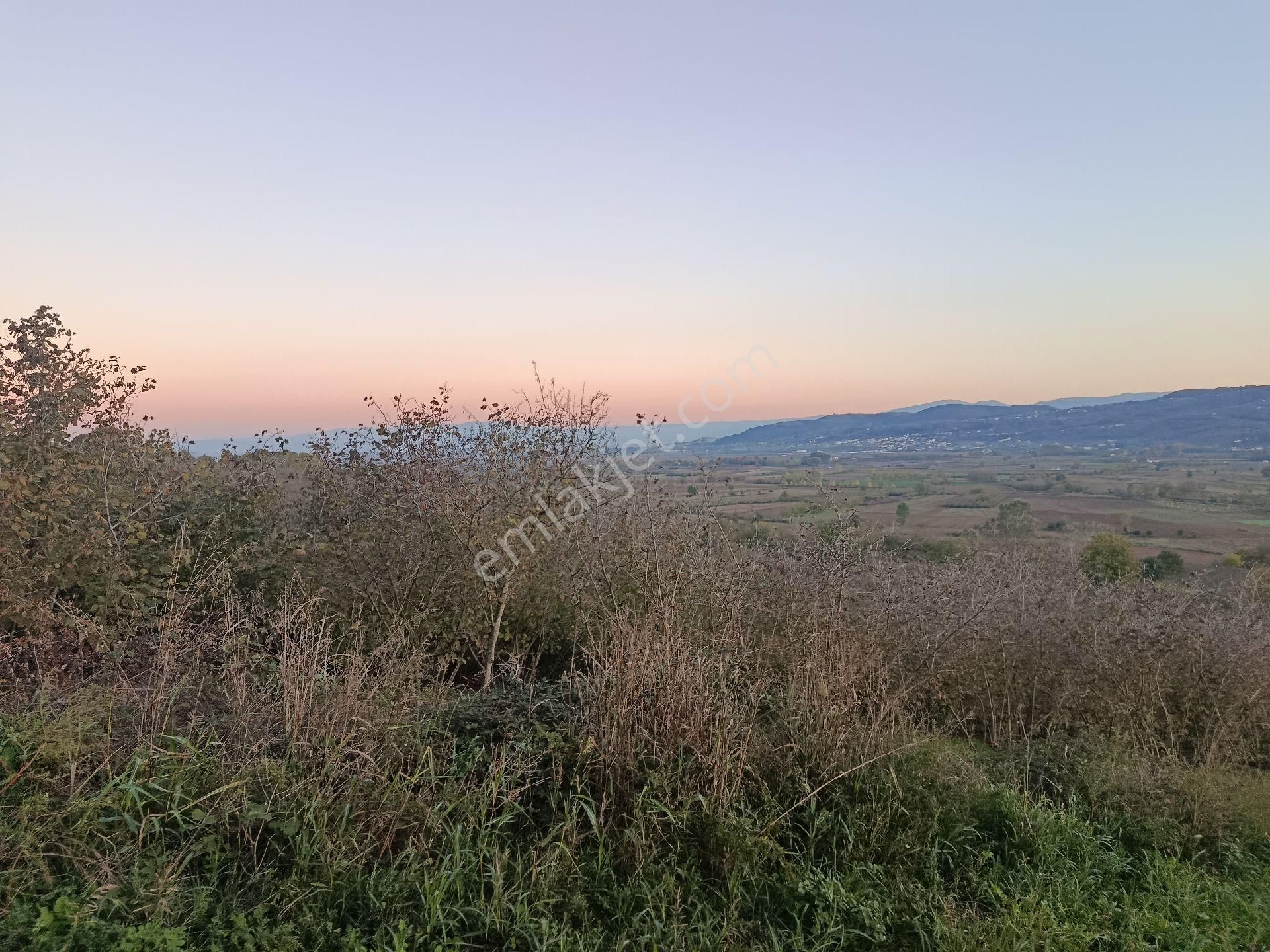 Beşevlerde Satılık Tarlamız - Görsel 9