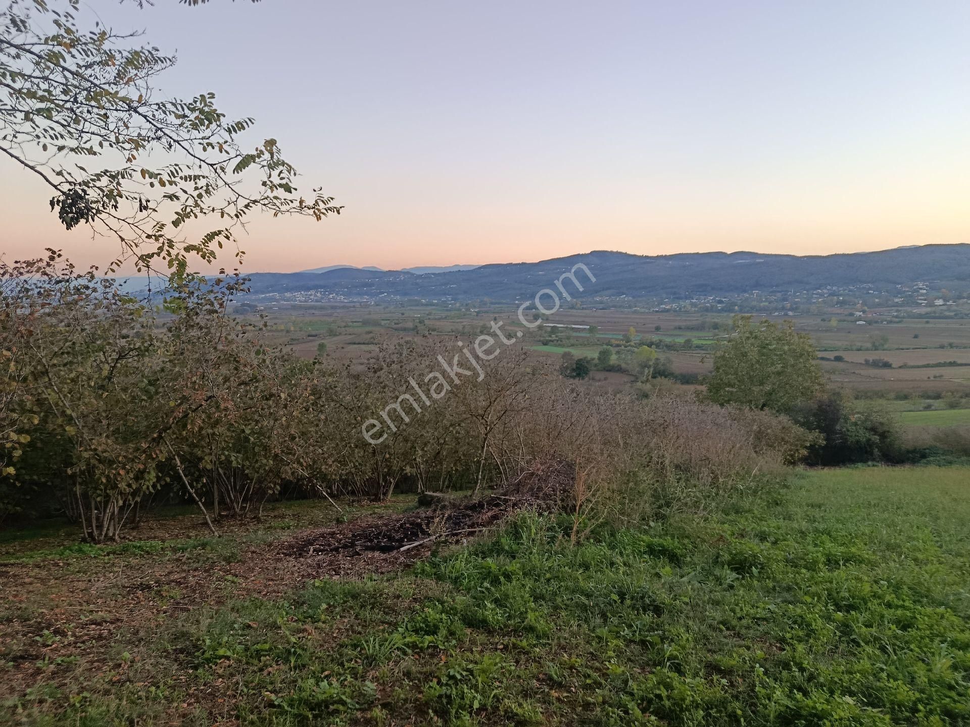 Beşevlerde Satılık Tarlamız - Görsel 3