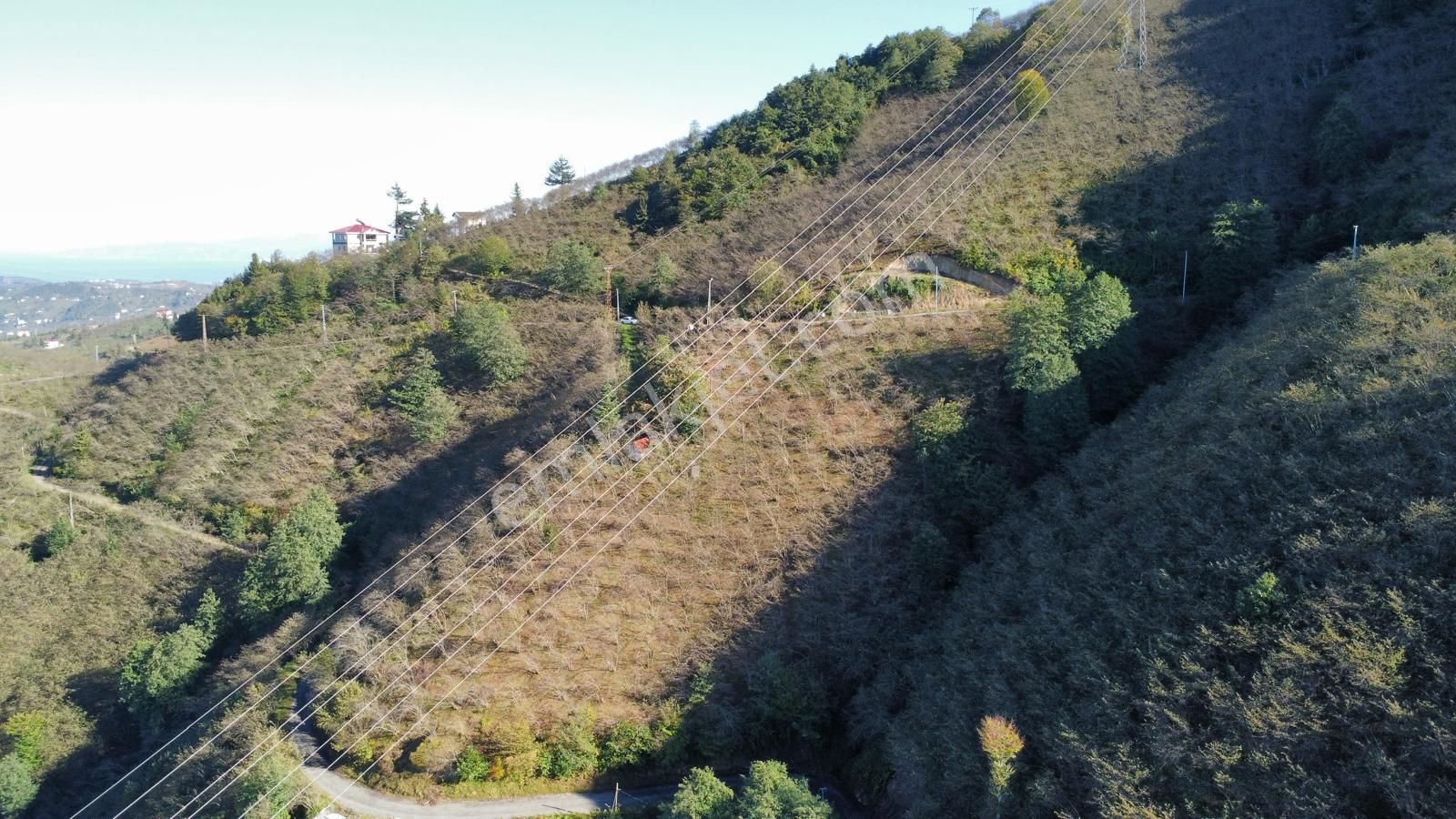 Trabzon Arsin'de Satılık Arazi - Görsel 20