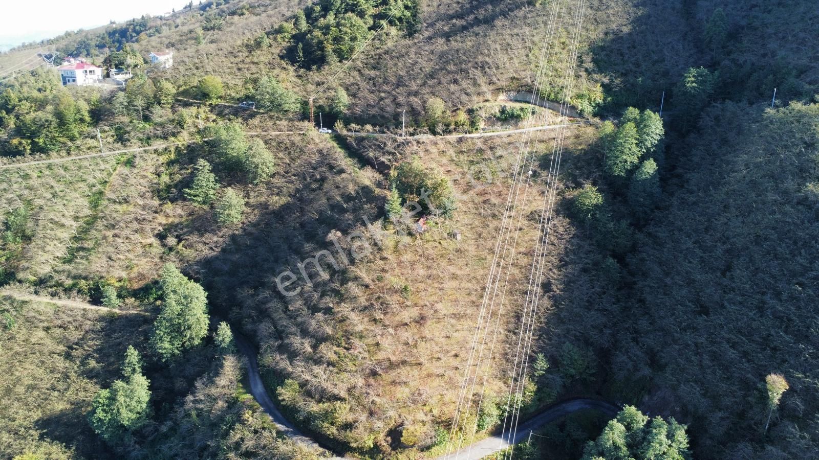 Trabzon Arsin'de Satılık Arazi - Görsel 24