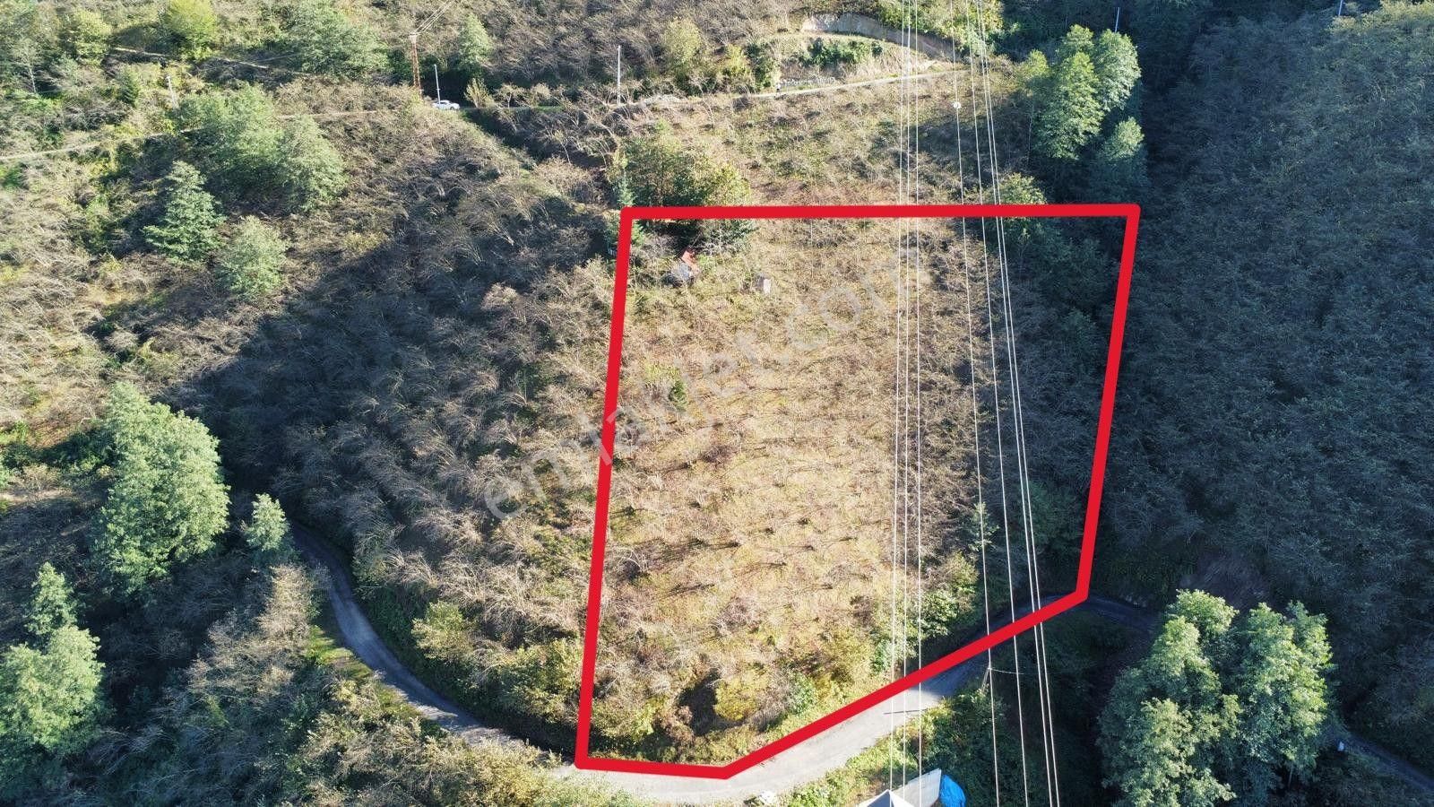Trabzon Arsin'de Satılık Arazi - Görsel 2