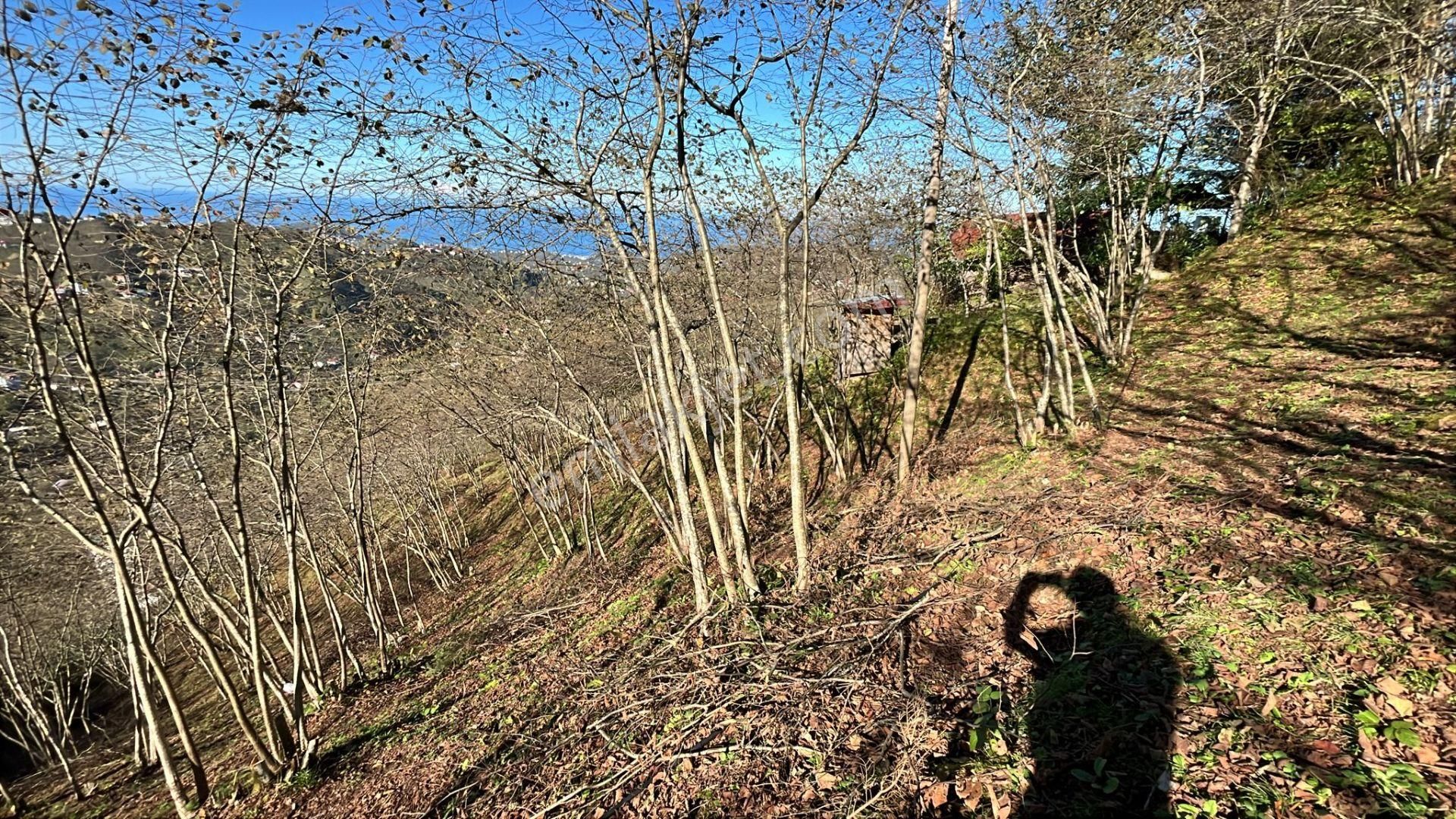 Trabzon Arsin'de Satılık Arazi - Görsel 23