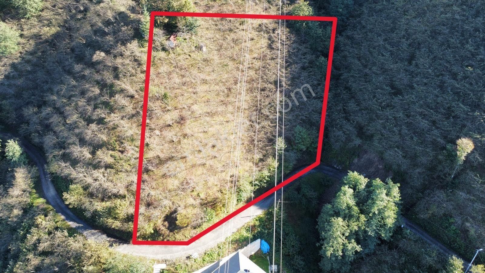 Trabzon Arsin'de Satılık Arazi - Görsel 18