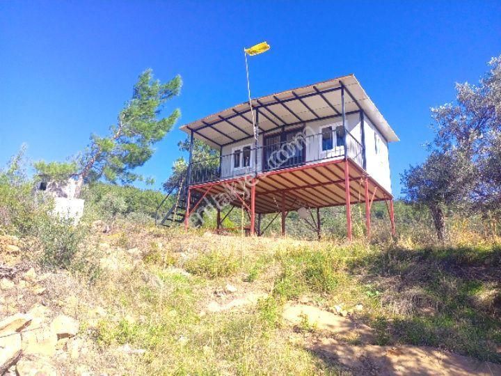 Torbalı Dirmil'de Muhteşem Manzaralı, Yolu Olan, İçinde Konteynır Olan 4260m2 Zeytinlik Satılıktır