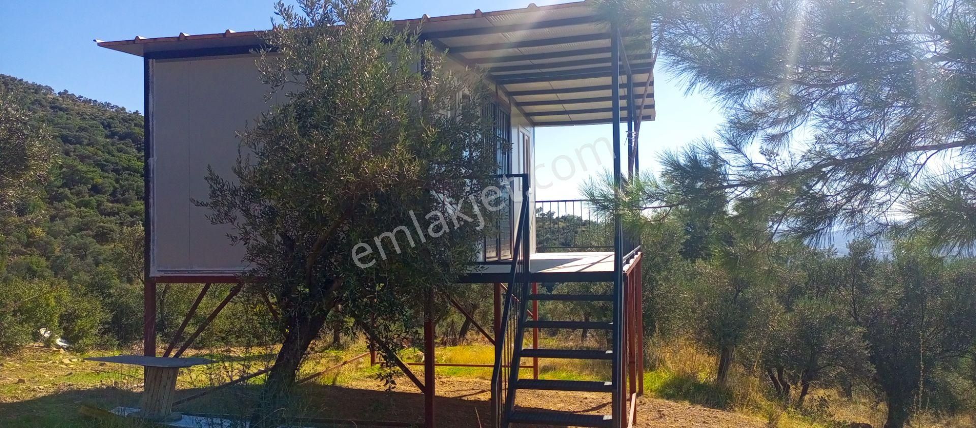 Torbalı Dirmil'de Muhteşem Manzaralı, Yolu Olan, İçinde Konteynır Olan 4260m2 Zeytinlik Satılıktır - Görsel 3