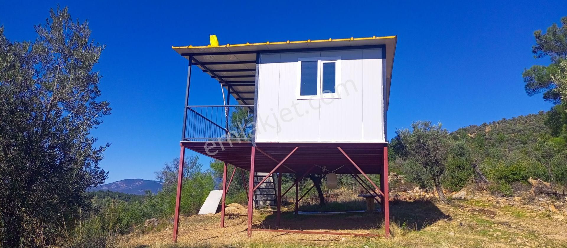Torbalı Dirmil'de Muhteşem Manzaralı, Yolu Olan, İçinde Konteynır Olan 4260m2 Zeytinlik Satılıktır - Görsel 27