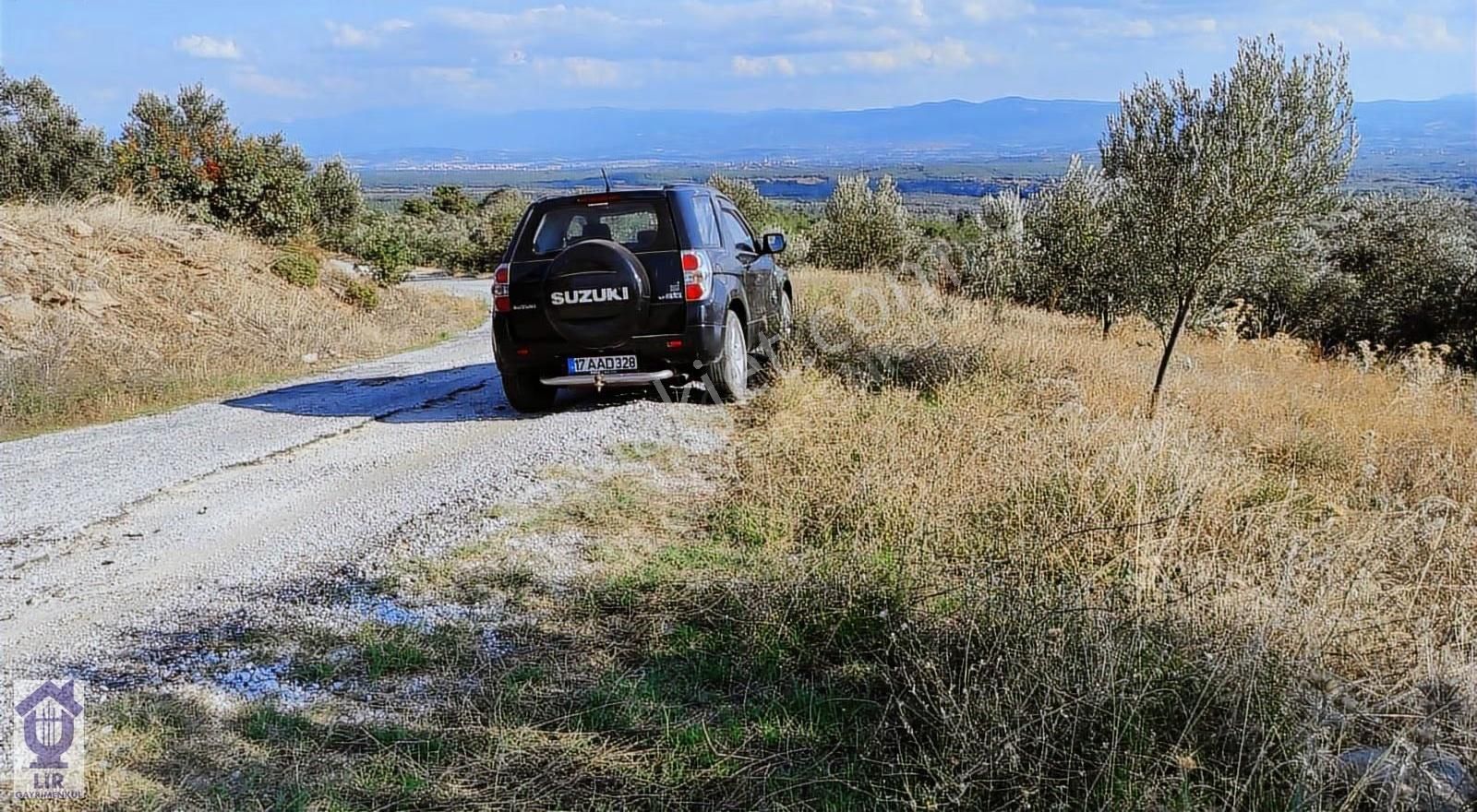 Lir Den Çanakkale Bayramiç Zerdalilik Te 4300 M2 Zeytinlik - Görsel 8