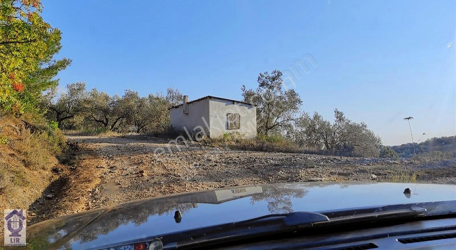 Lir Den Çanakkale Bayramiç Zerdalilik Te 4300 M2 Zeytinlik - Görsel 6